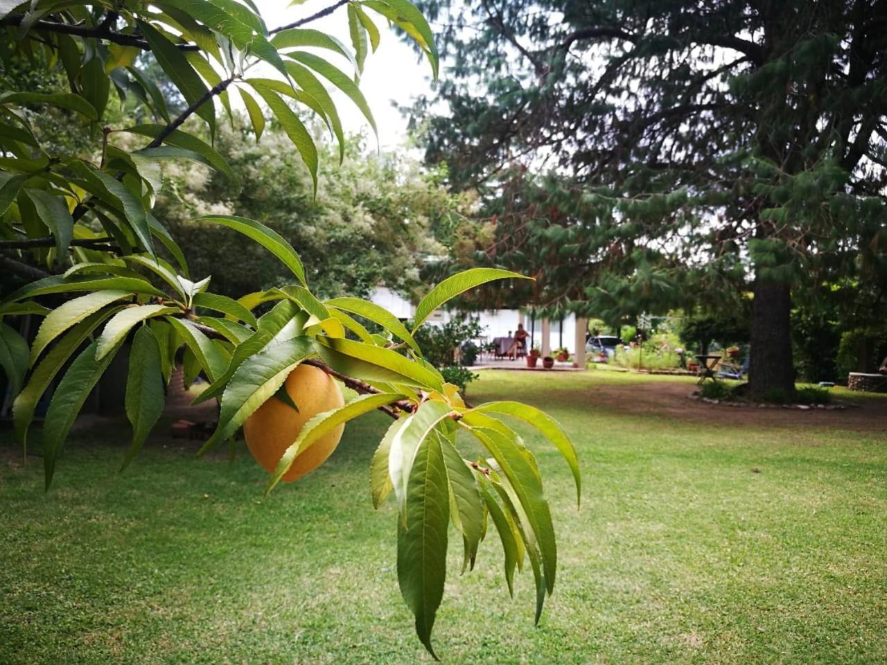 El Mana Villa Bialet Massé Exterior photo